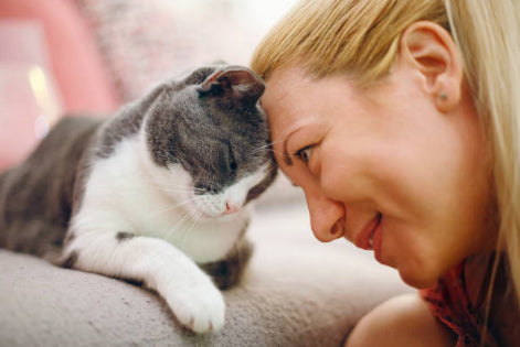 Sesión Comunicación Animal 🗣️🐱🐶