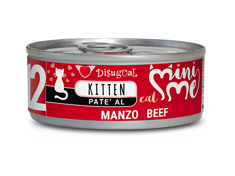 comida gato bebé
