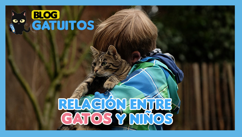 Gatos y niños: cómo fomentar una relación segura y afectuosa