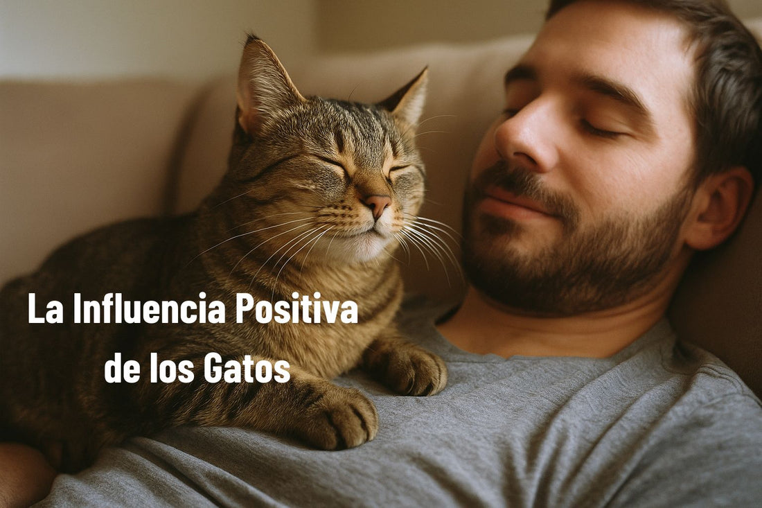 beneficios gatos
