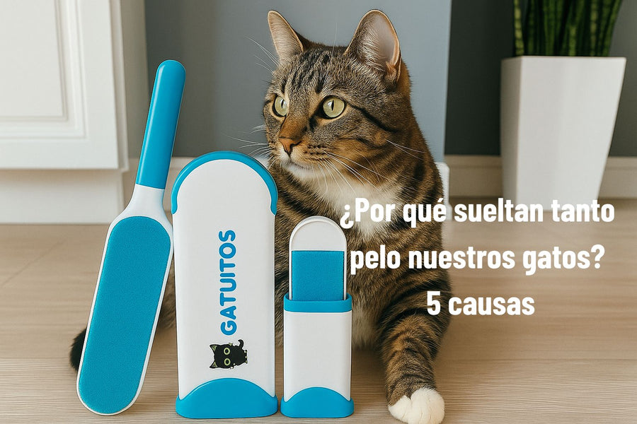 ¿Por qué sueltan tanto pelo nuestros gatos? 5 causas