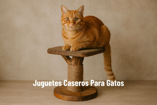 Juguetes para gatos