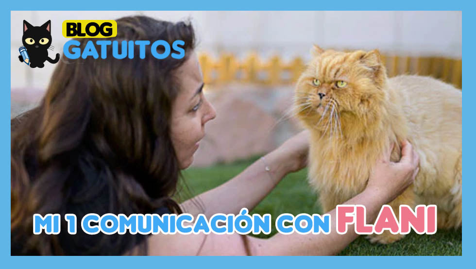 Mi primera comunicación con Flany