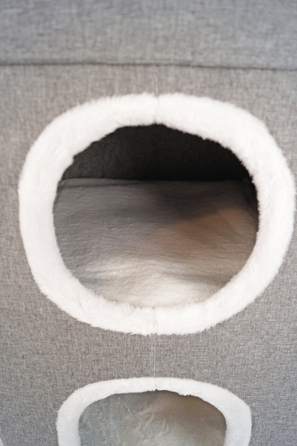 Túnel Cama para Gatos 3 en 1 - Plegable y Térmico