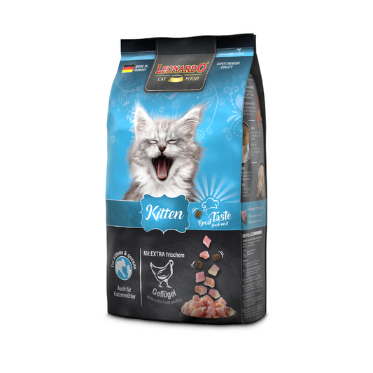 pienso gatos pequeños