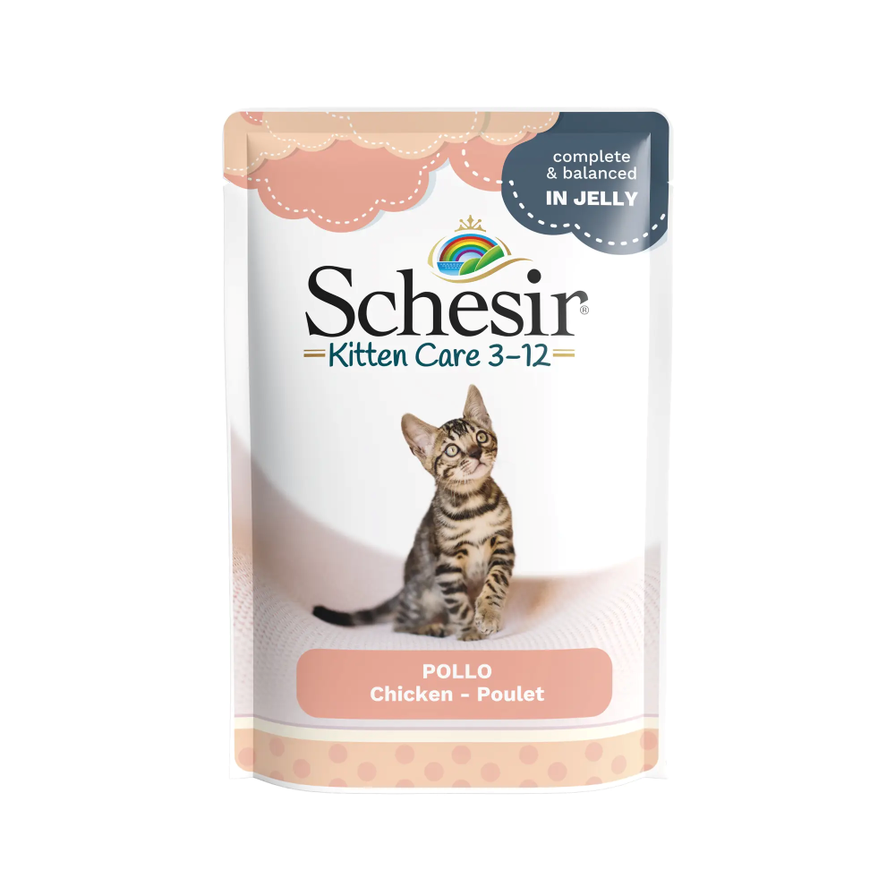 comida cocinada gatos bebé