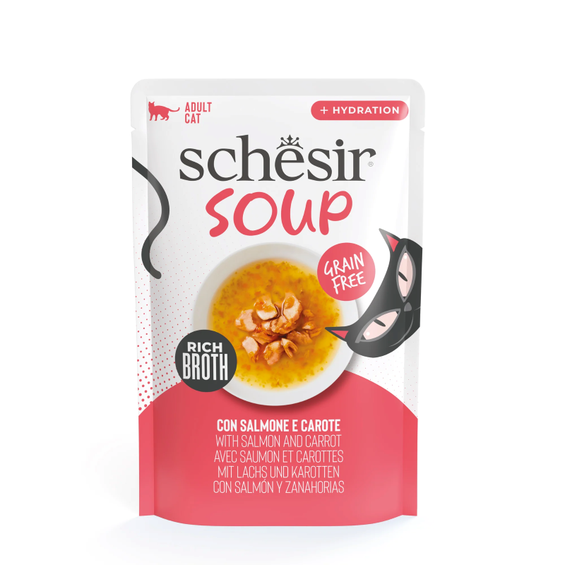 gatos sopa